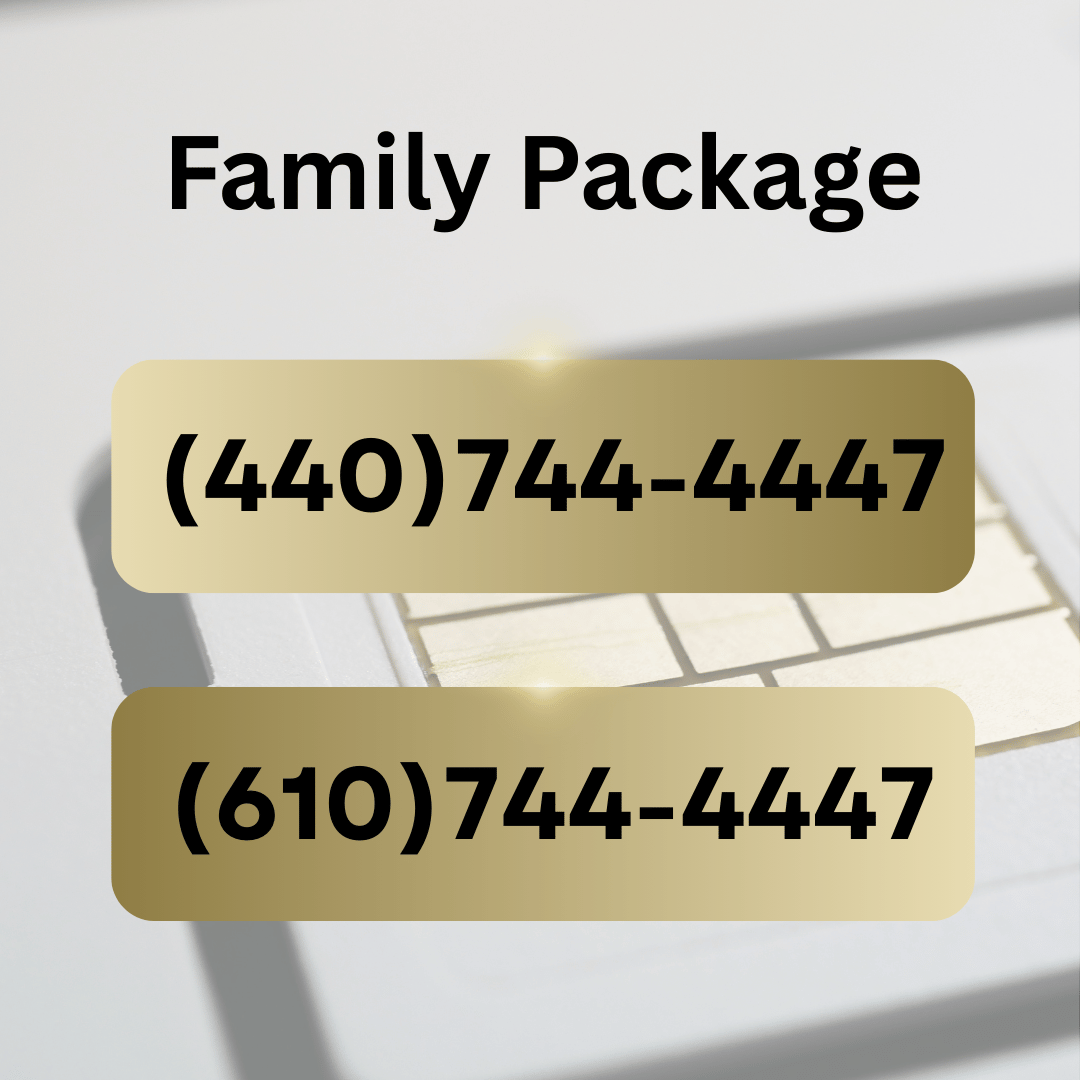 Family VIP Number Package