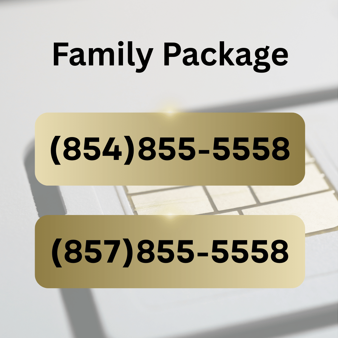 Family VIP Number Package