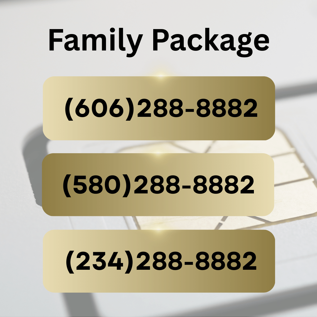 Family VIP Number Package