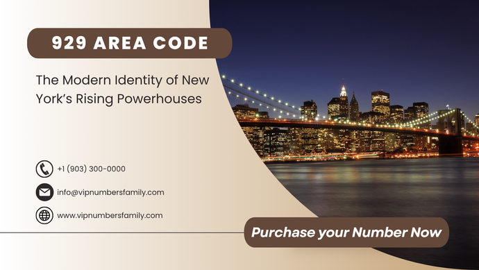 929 Area Code: The Modern Identity of New York’s Rising Powerhouses