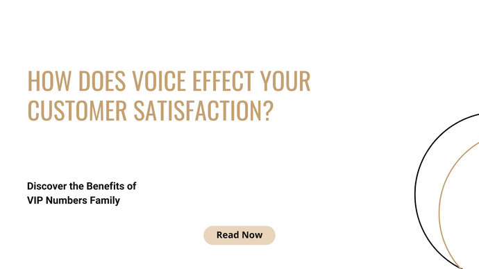 How does voice effect your customer satisfaction?