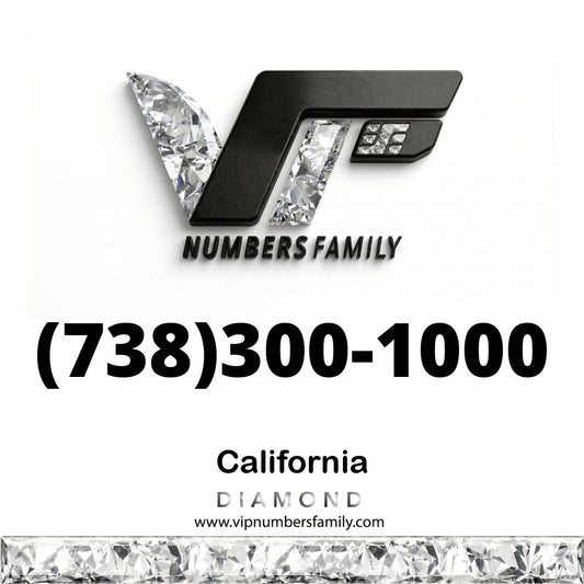 Diamond VIP Number  (738) 300-1000