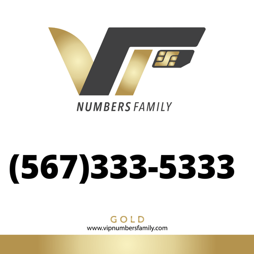 VIP Numbers Family logo with the vip phone number with a rare area code  Visit vipnumbersfamily.com to purchase usa number