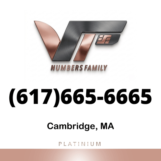 Platinum VIP Number (617) 665-6665