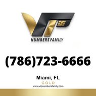 Gold VIP Number (786) 723-6666