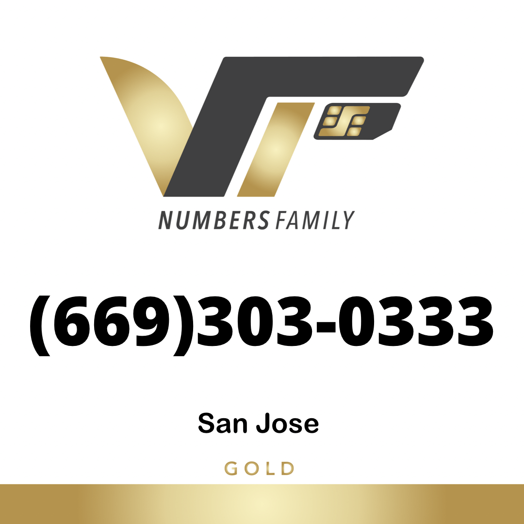 Gold VIP Number (669) 303-0333